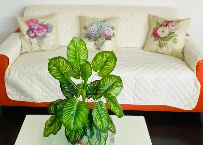 Superbe Avec De Parking Gratuit Sur Place * Lourdes