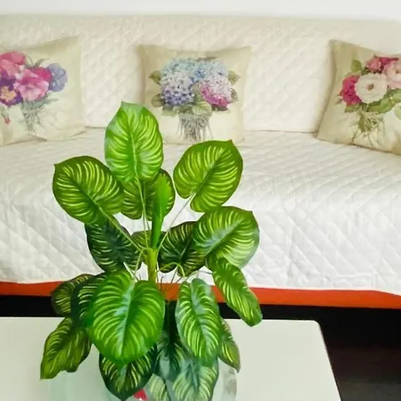 Superbe Avec De Parking Gratuit Sur Place * Lourdes